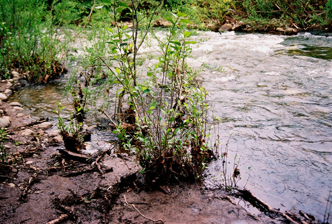 riverbed-copy