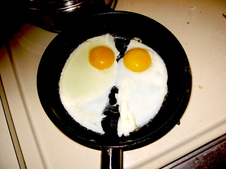 angeleggs