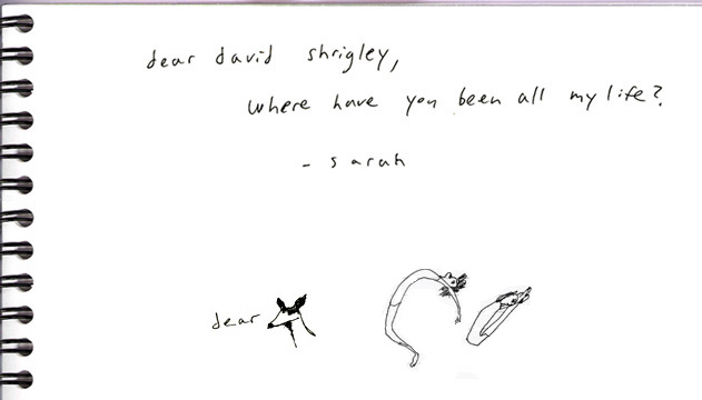 dear_david