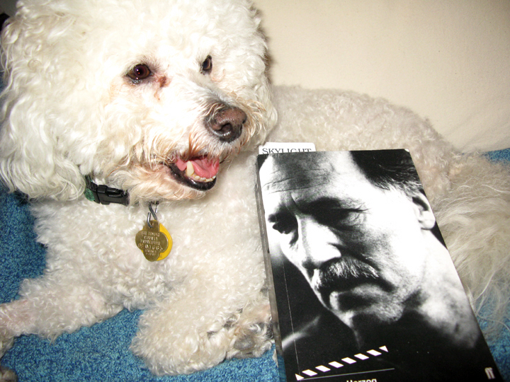 louie_and_werner