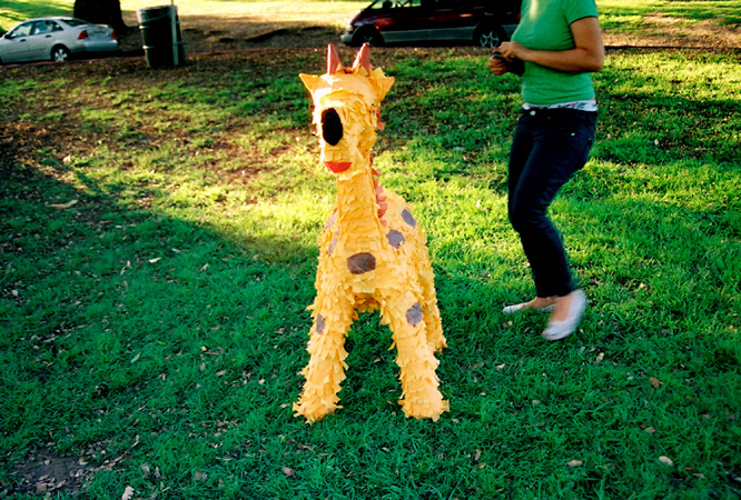 pinata copy