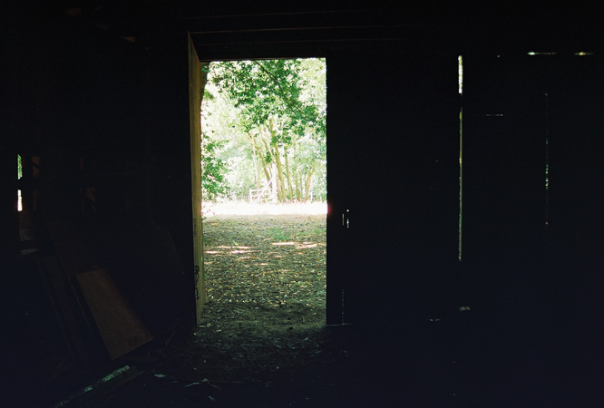 barnyard