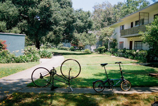bikes
