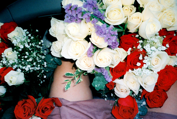 flowerlegs