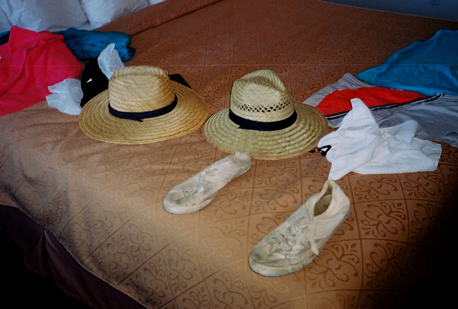 hattwin