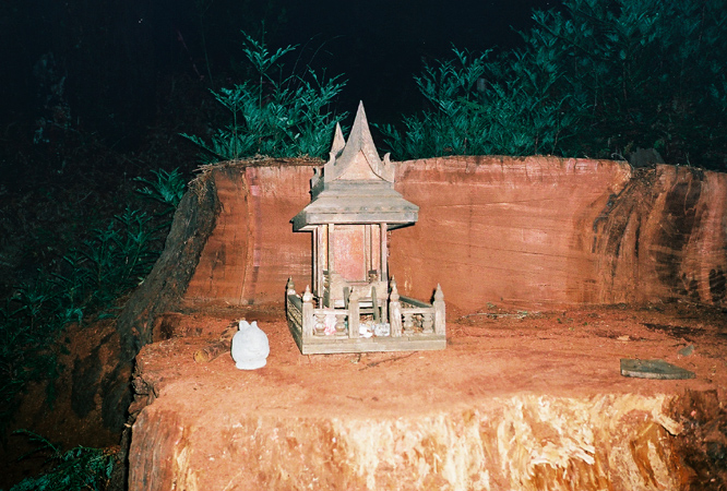 littlehouseonbigstump