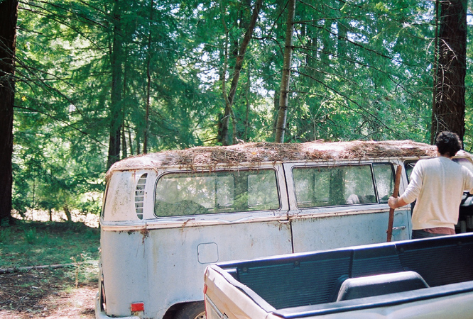 vwhousebus