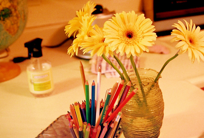 daisies copy