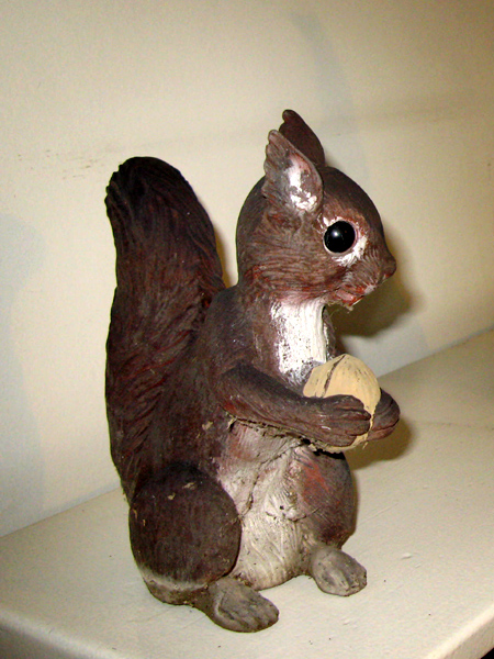 squirrel