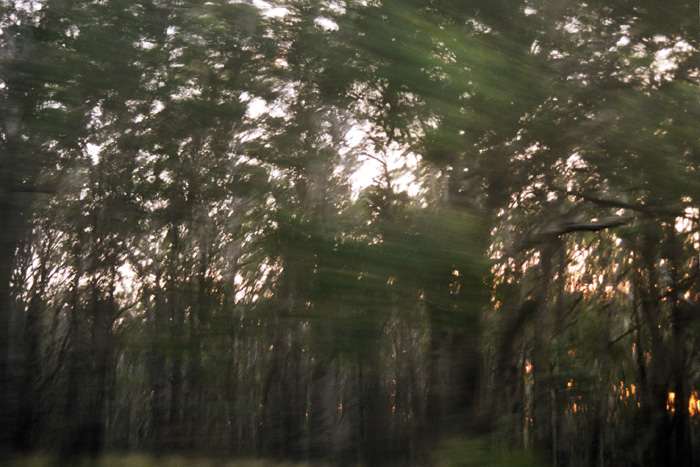 wilderness