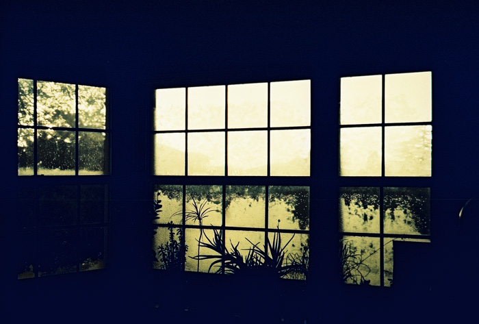 window