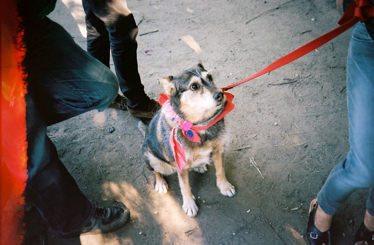 bandana