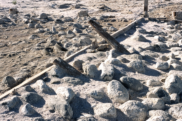 builtonthebrokenbonesofcountlessfish builtonthebrokenbonesofcountlessfish