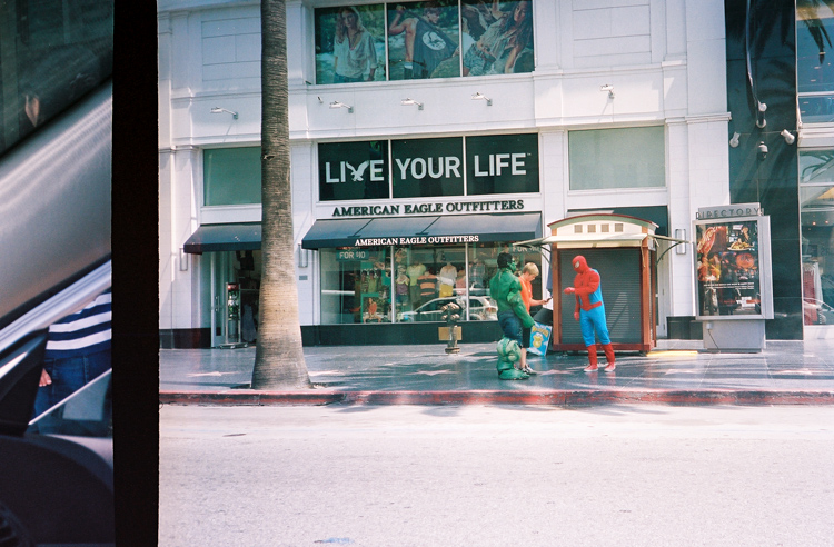 hollywoodblvdisweird