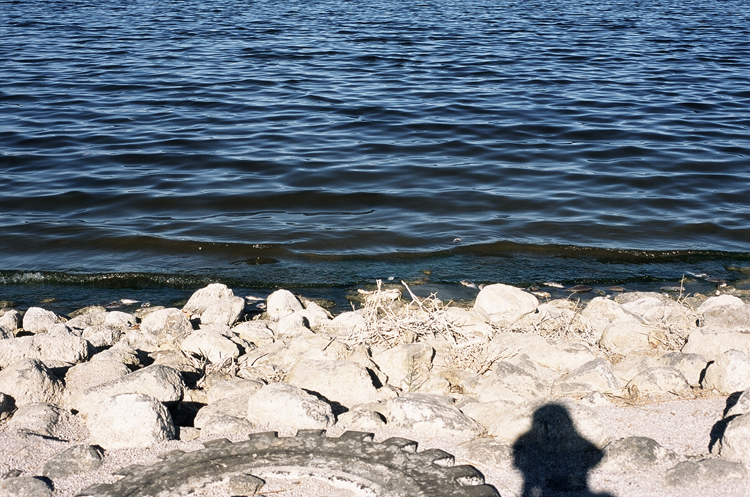 saltonshore saltonshore