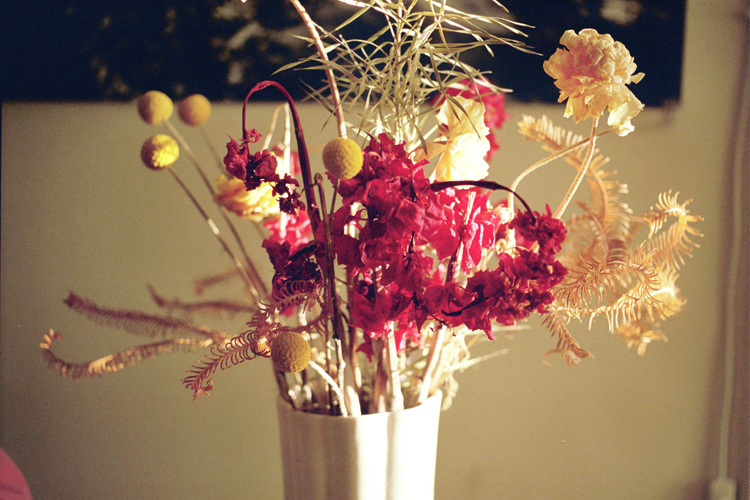driedflowers