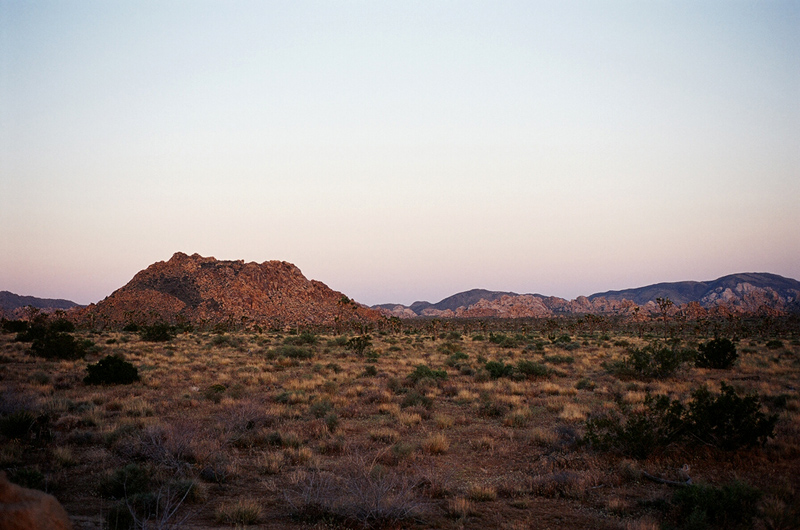 evenin_25010029