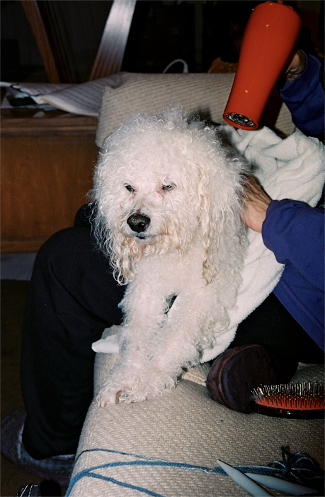fluff