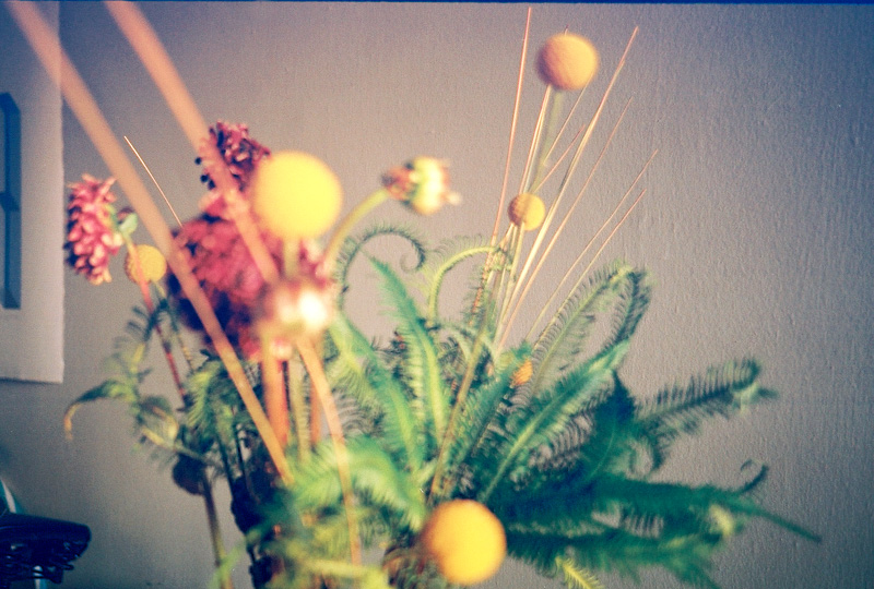 yellowbobss